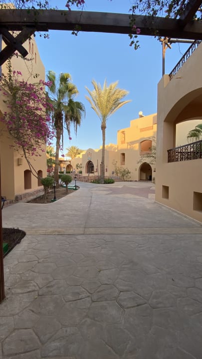 Garten Steigenberger Coraya Beach - Adults only