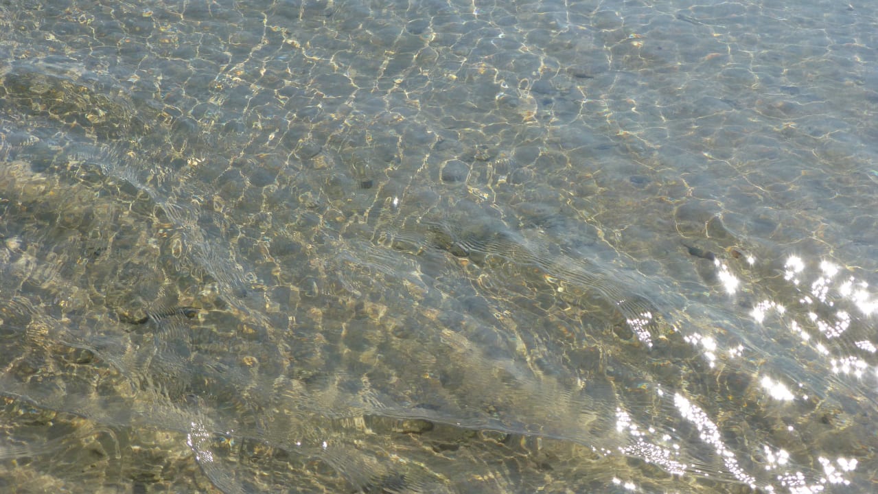 Glasklares Wasser Giftun Azur Resort