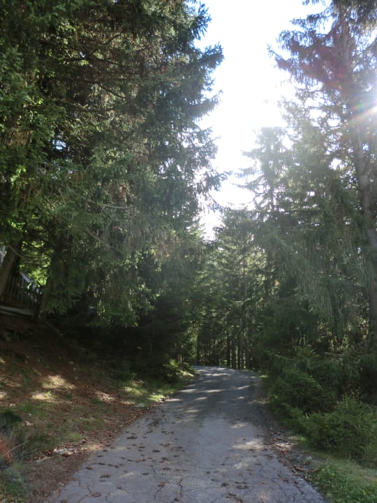 Straße zum Gasthof Gasthof Hochwies