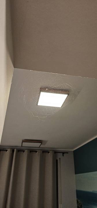 Zimmer Land-gut-Hotel Zur Linde