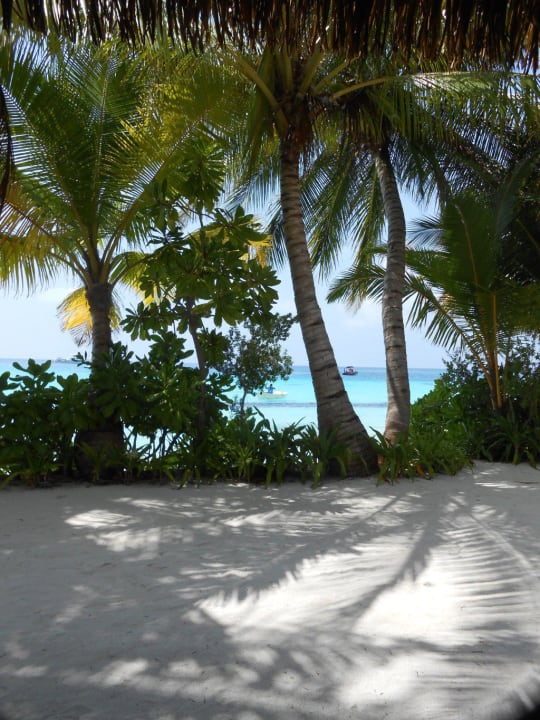 Unser Blick vom Restauranttisch  Kuramathi Maldives