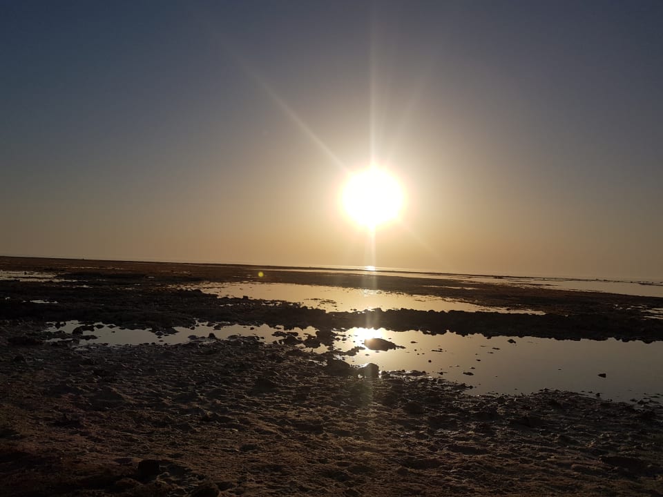 Außenansicht Hotel Gorgonia Beach Resort