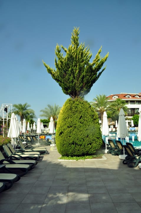 Sonstiges Alba Queen Hotel