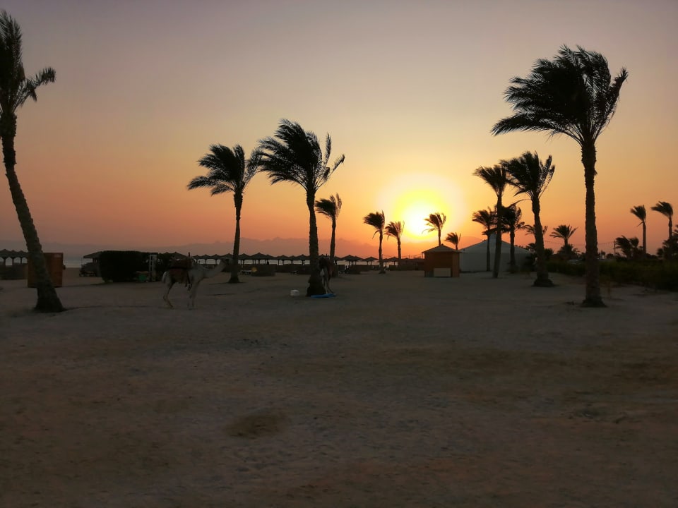 Strand Hotel Sheraton Soma Bay Resort