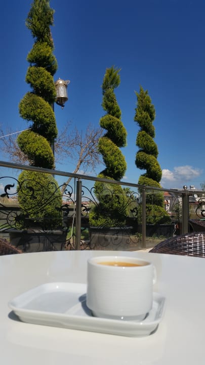 Gastro Mary Hotel Side