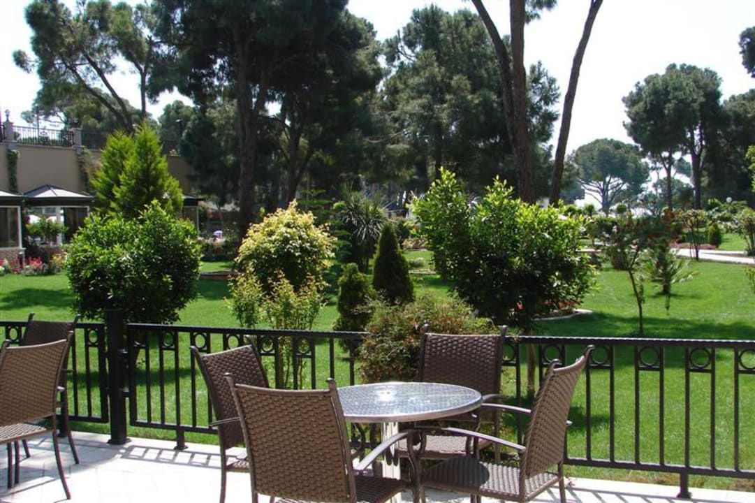 Blick in den Garten Papillon Ayscha