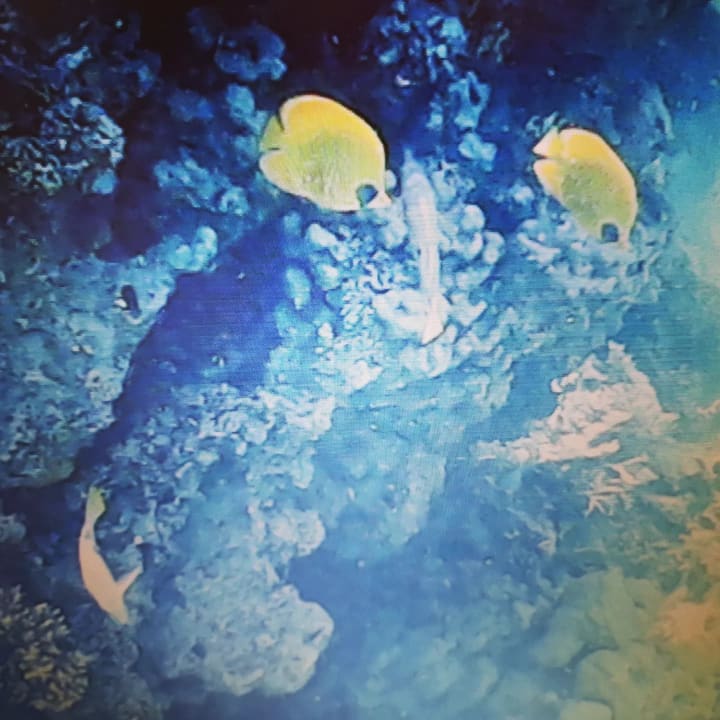 Sport & Freizeit Utopia Beach Club