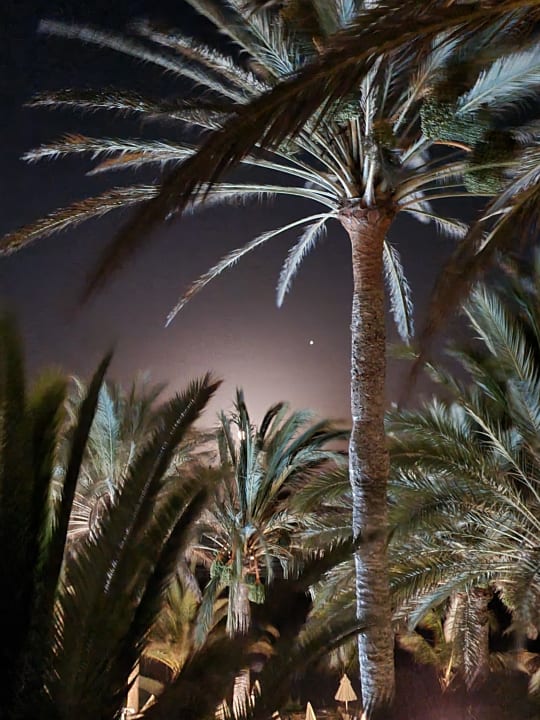 Ausblick Hotel Riu Palace Tres Islas