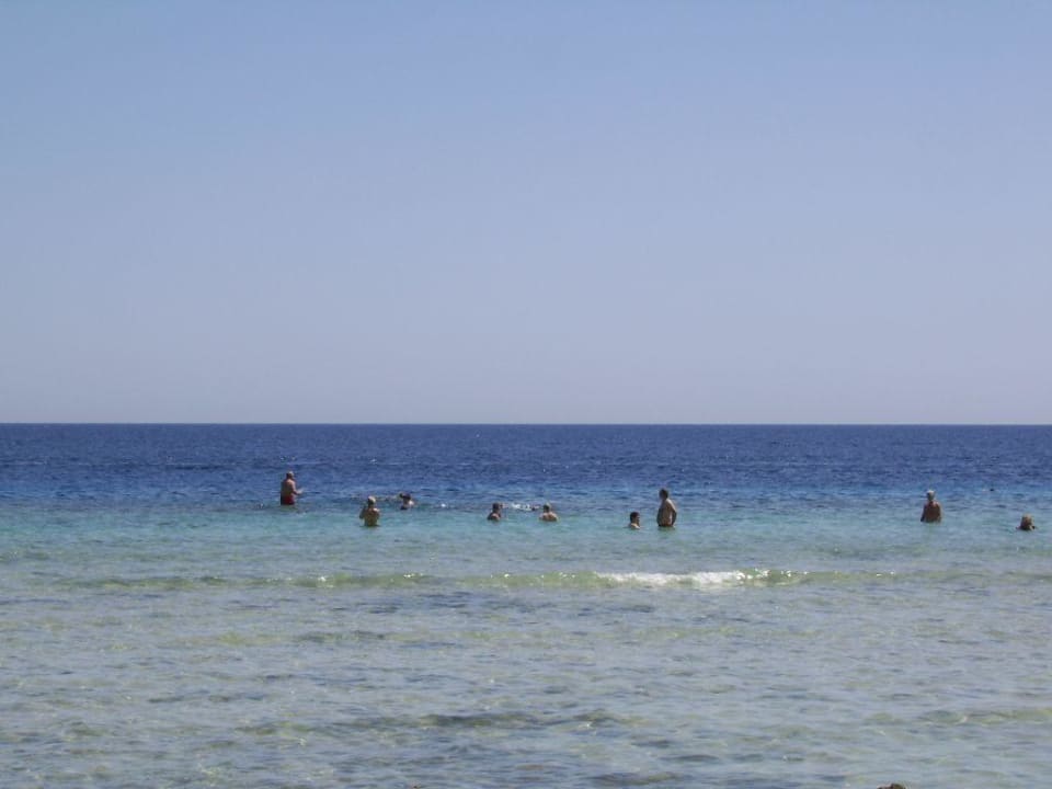 Schnorcheln am Hotelriff Grand Makadi