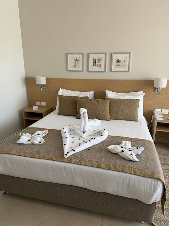 Zimmer JAZ Elite Asteria