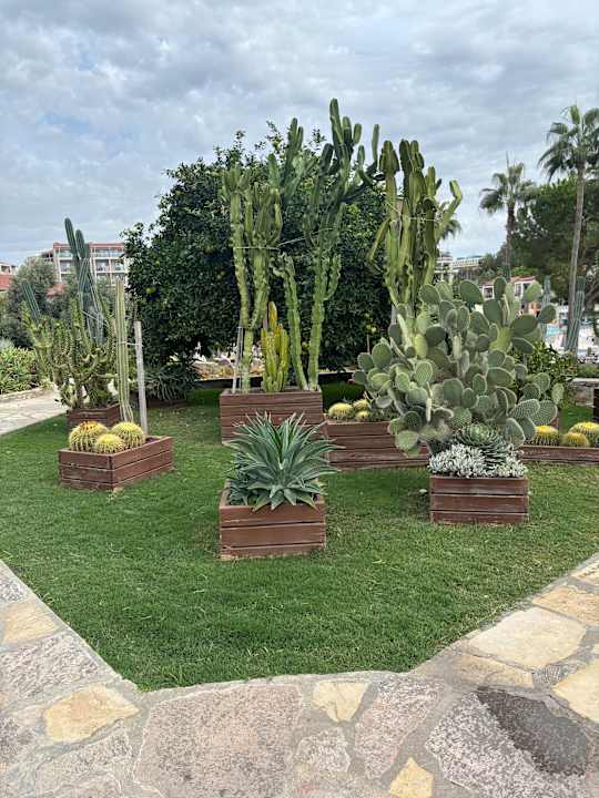 Gartenanlage Arum Barut Collection