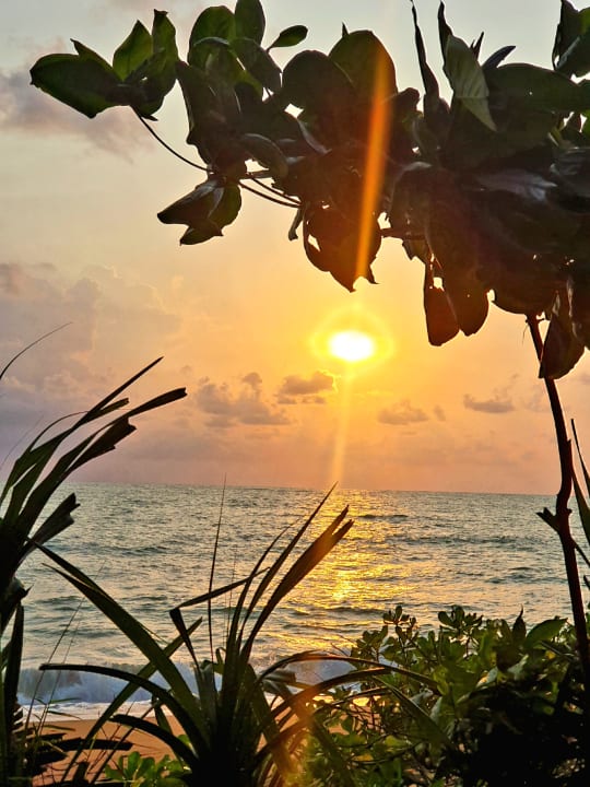 Ausblick X10 Khaolak Resort