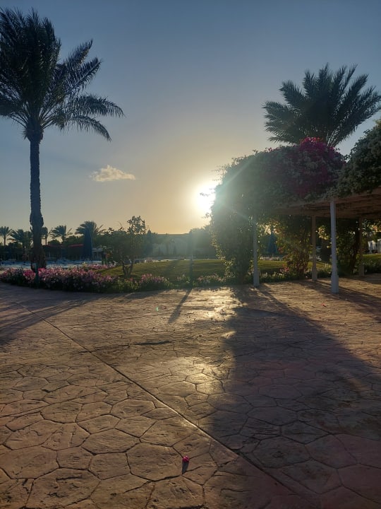 Außenansicht Desert Rose