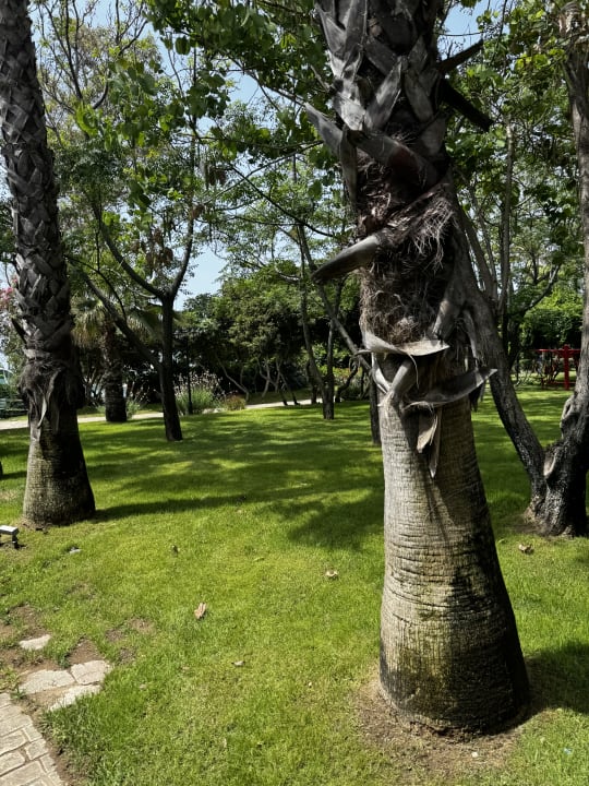 Gartenanlage Belconti Resort Hotel