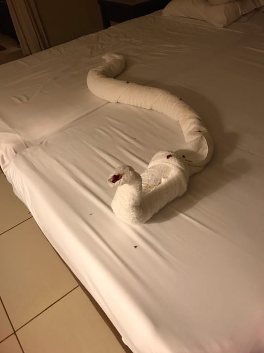 Zimmer Jaz Dar EL Madina