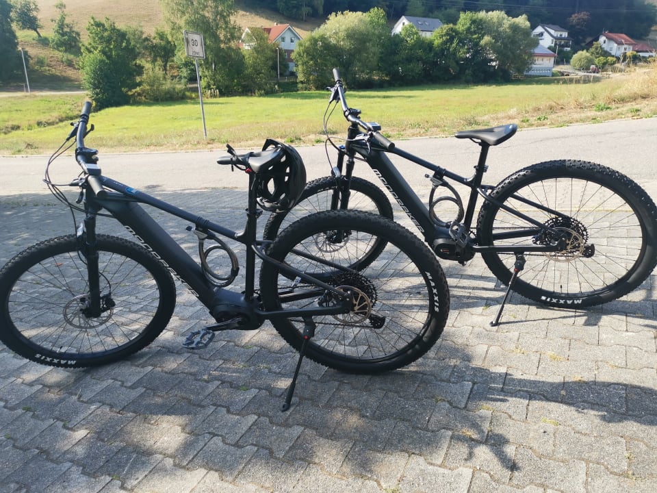 Sport & Freizeit Hotel Grüner Baum