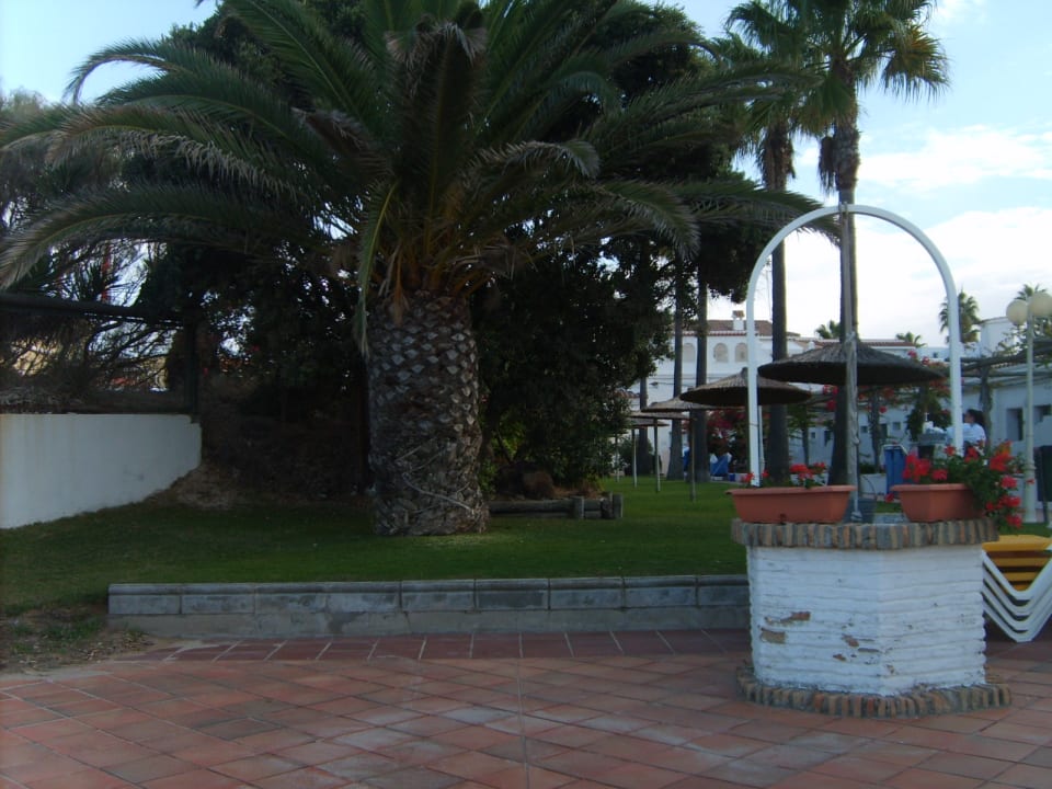 Gartenanlage Hotel Playa de la Luz