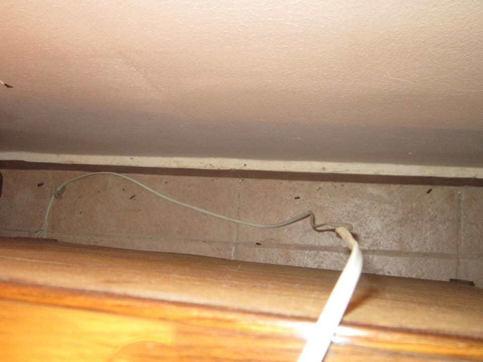 Tierkot Shams Alam Beach Resort