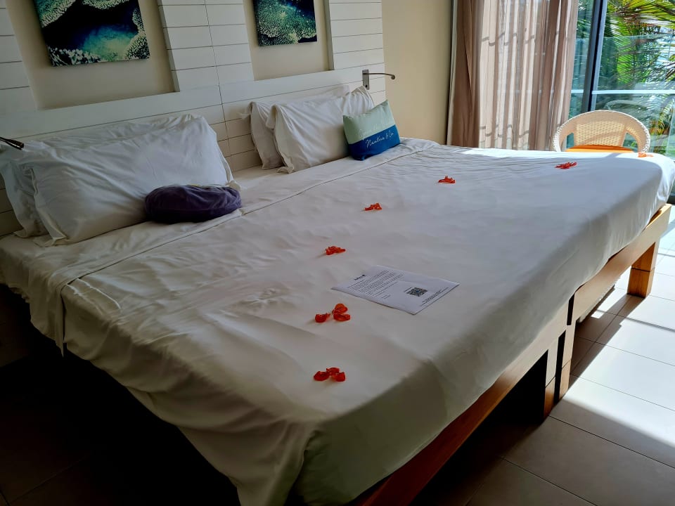 Zimmer Radisson Blu Poste Lafayette Resort & Spa - Adults only