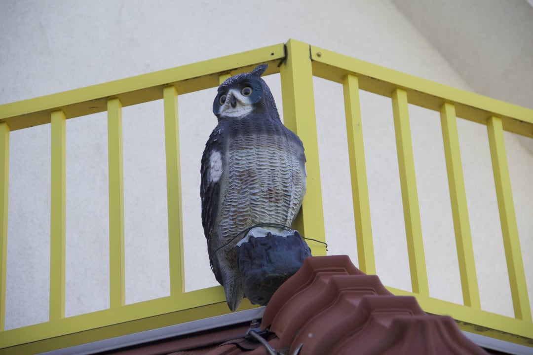 Eule Hotel Sonnenhof