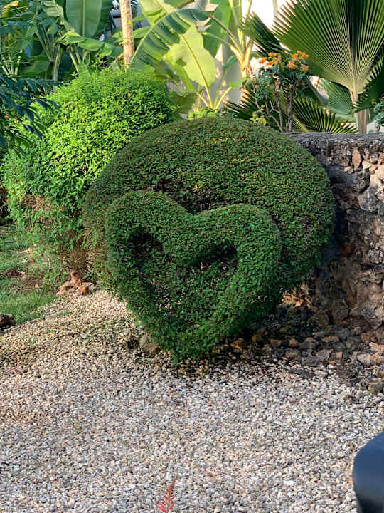 Gartenanlage Hotel Riu Palace Zanzibar