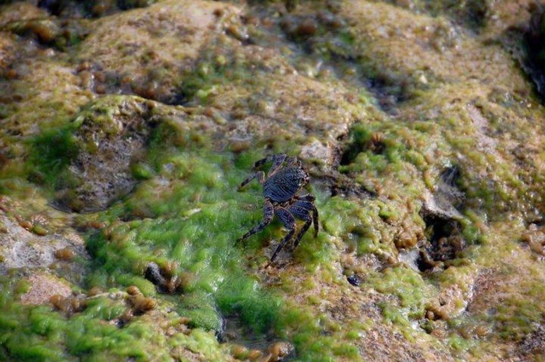 Nature Adaaran Select Hudhuran Fushi - Premium All Inclusive