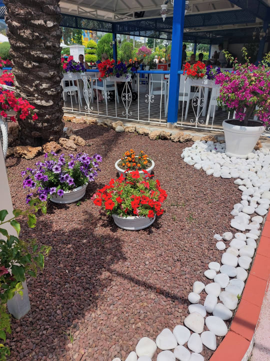 Gartenanlage Hotel Turan Prince