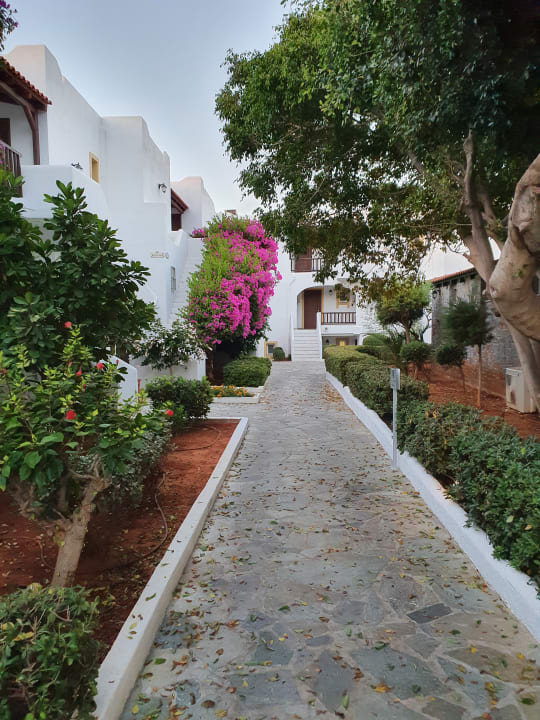 Außenansicht Alexander Beach Hotel & Village Resort