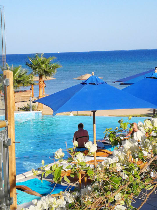 Pool Shams Prestige Abu Soma-Adults Only