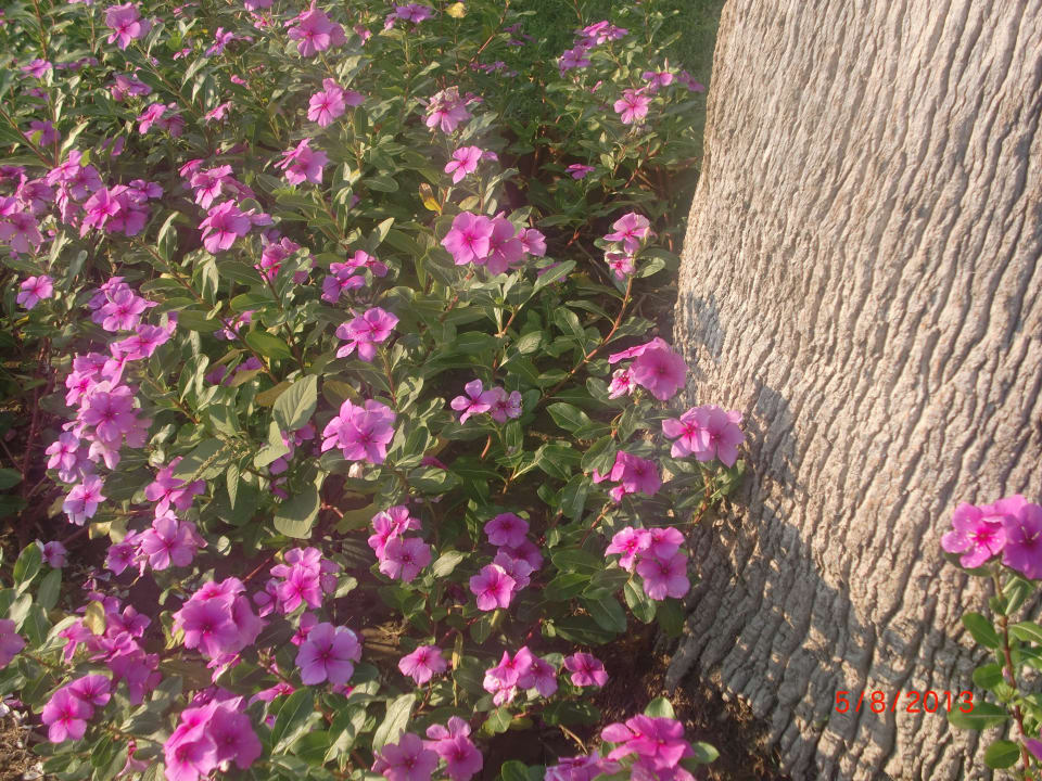 VON Club Golden Beach VONRESORT Golden Beach