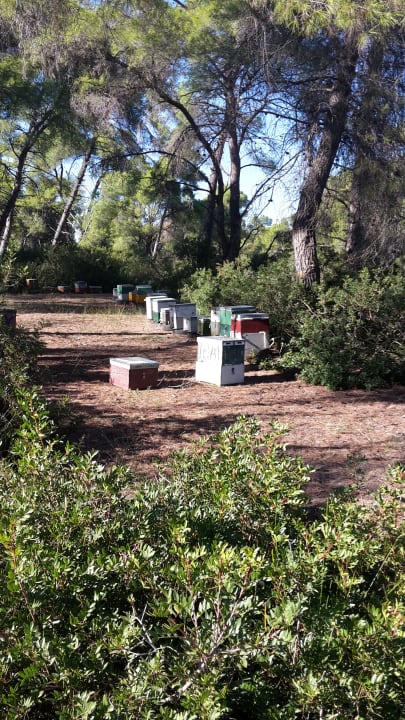 Sonstiges Sani Dunes