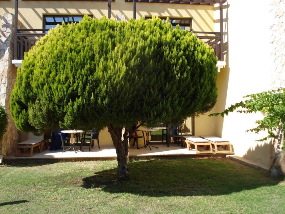 Garten Atlantica Aeneas Resort