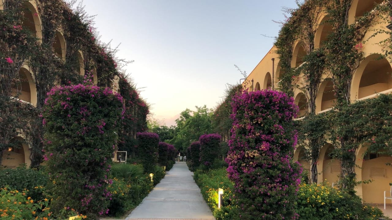 Gartenanlage TUI MAGIC LIFE Calabria