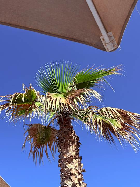 Ausblick Arina Beach Resort