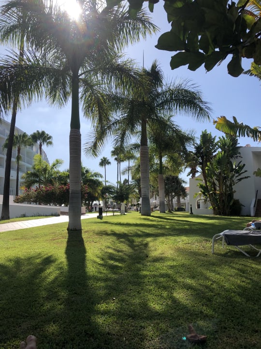 Gartenanlage Sunprime Atlantic View