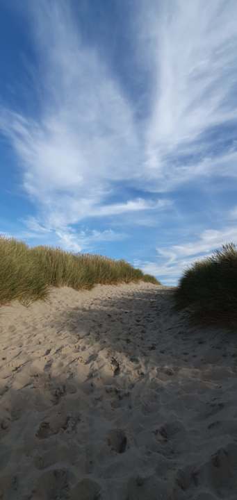 Strand Center Parcs Park De Haan