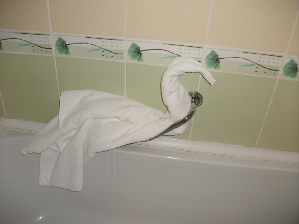 Im Badezimmer Hotel Orfeus Park