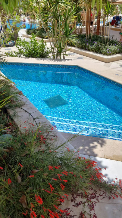 Zimmer The Grand Palace - Adults only