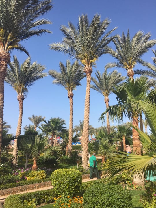 Gartenanlage Riviera Aqua Park Resort