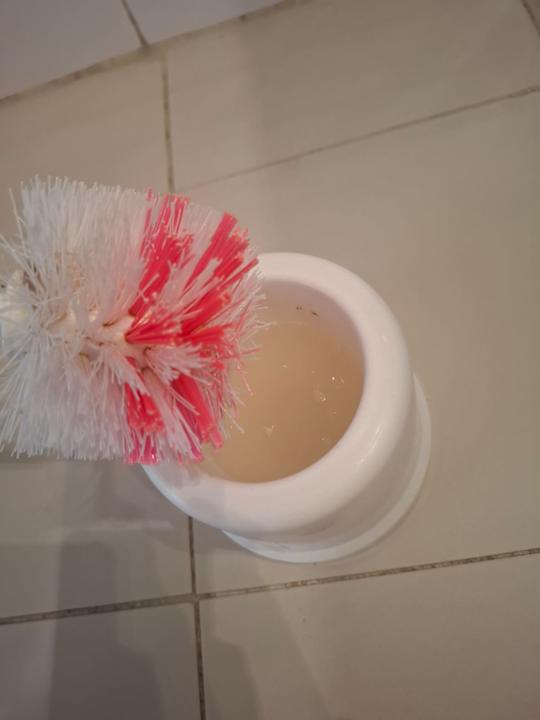 Zimmer Hotel Club Tropicana & Spa