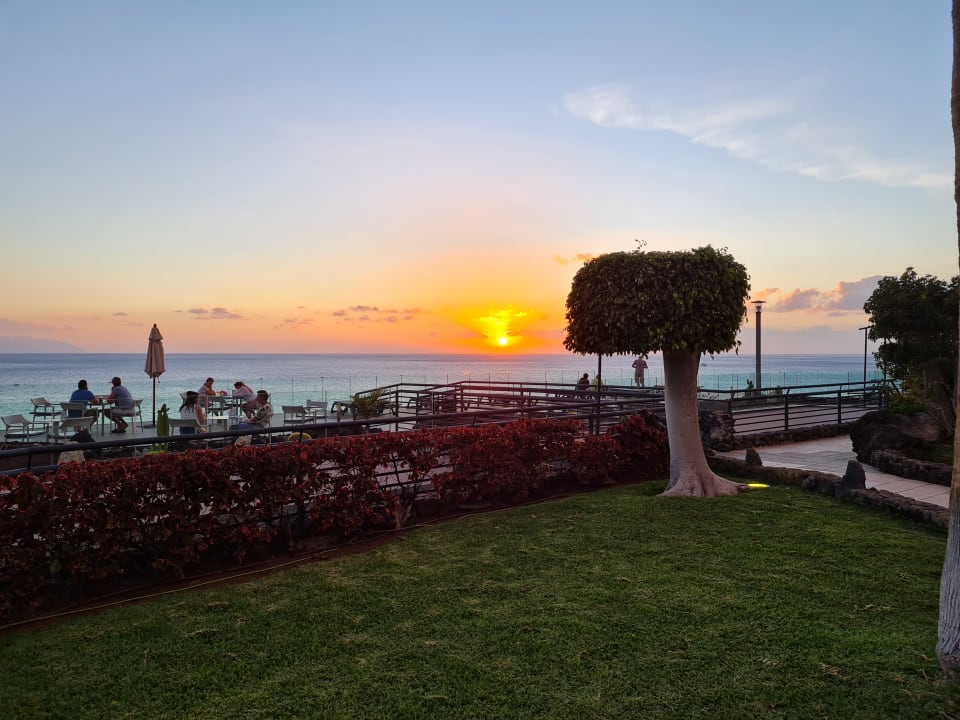 Ausblick Barceló Santiago - Adults Only