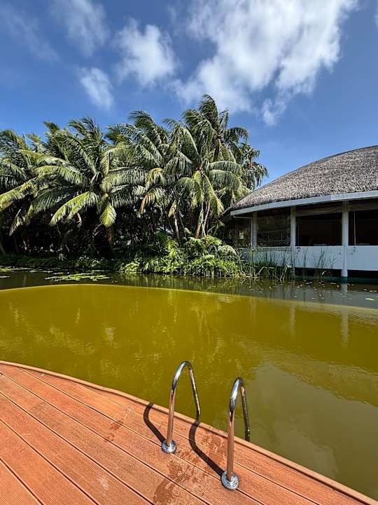 Gartenanlage Dreamland The Unique Sea & Lake Resort / Spa