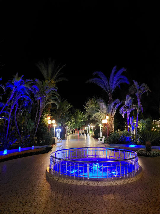 Gartenanlage Hotel Delphin Imperial