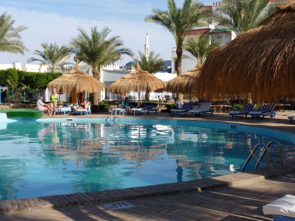 Am Pool Albatros Sharm Resort