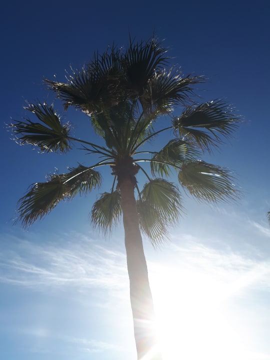 Sonstiges Side Sun Hotel