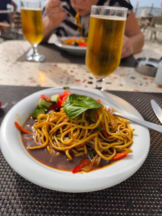 Gastro Seashell Vega