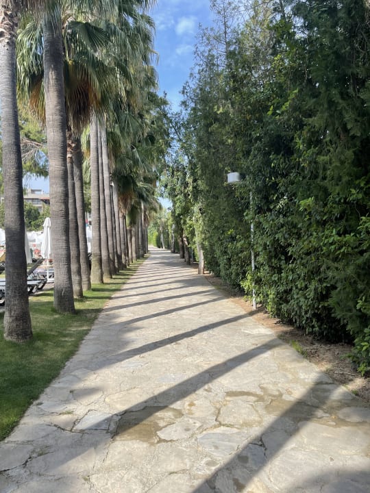 Gartenanlage Barut Hemera