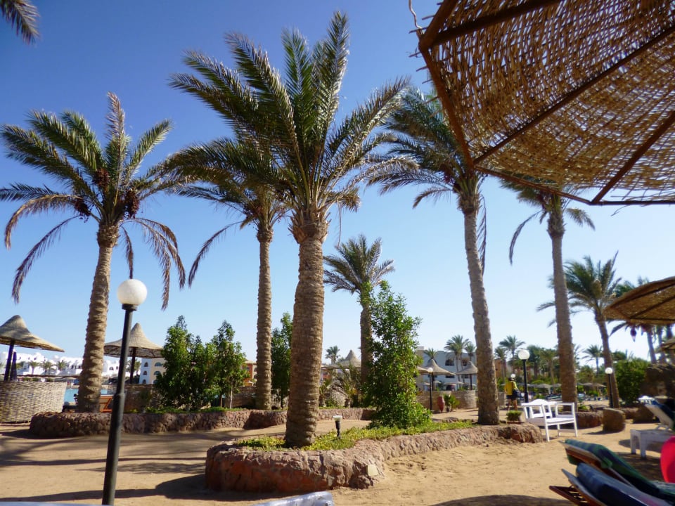 Strand Arabia Azur Resort