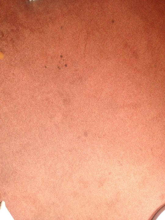 Zimmerboden Hotel Panorama Inn und Boardinghaus