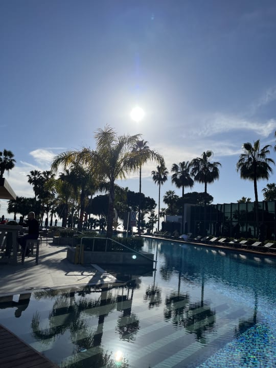 Pool Acanthus Cennet Barut Collection